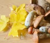 Соус грибной со сметаной: самые вкусные, легкие и быстрые рецепты